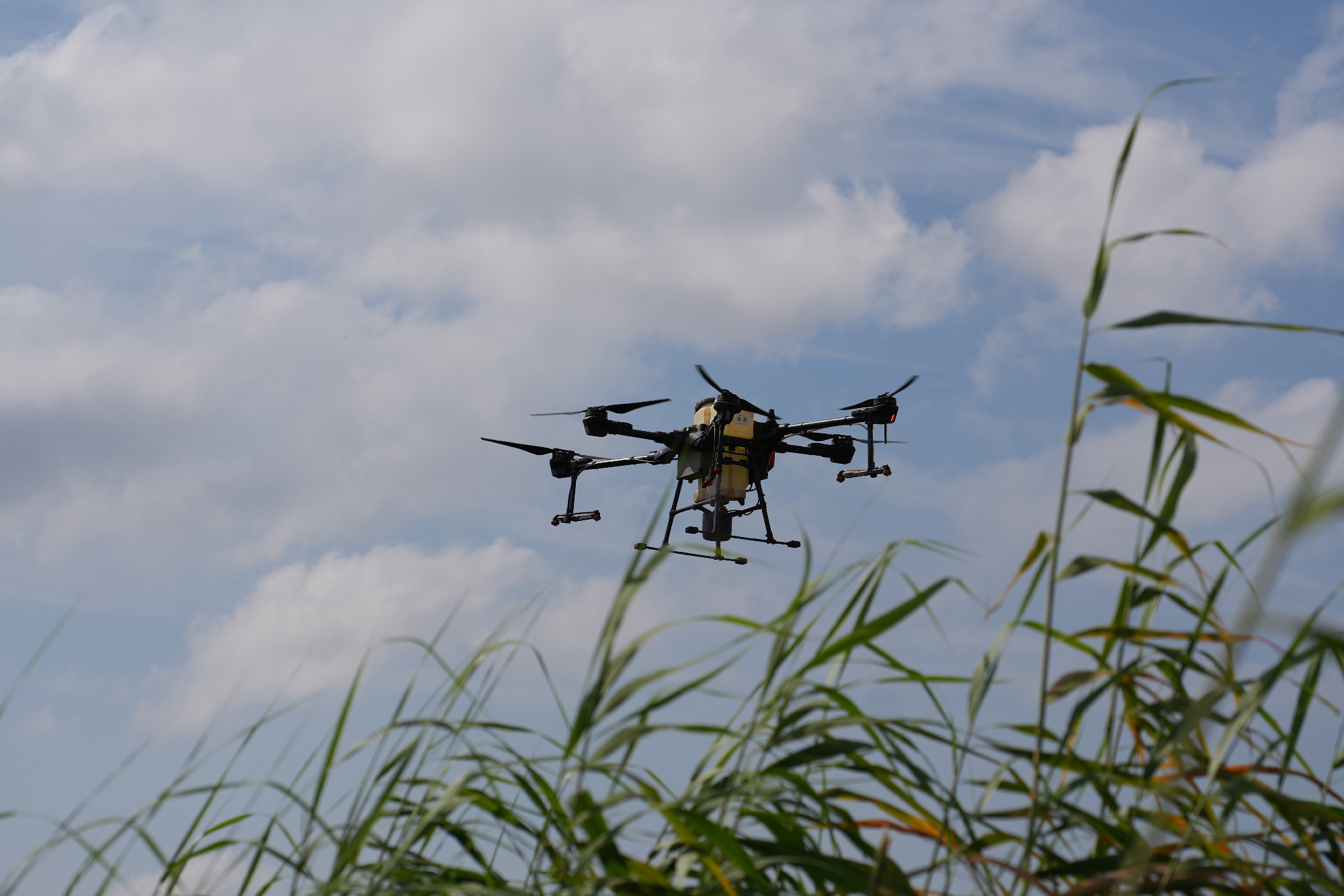 Bursa’da Drone ile sinek avı başarıyla gerçekleşti!