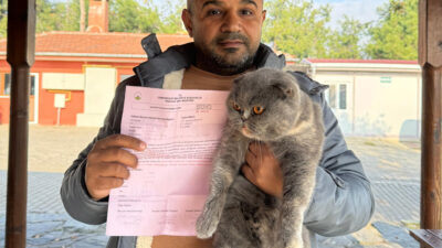 Osmangazi’de can dostları sıcak yuvalarında!