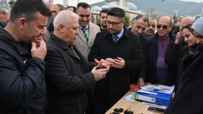 Bursa Büyükşehir’den üreticiye fide ve fidan desteği