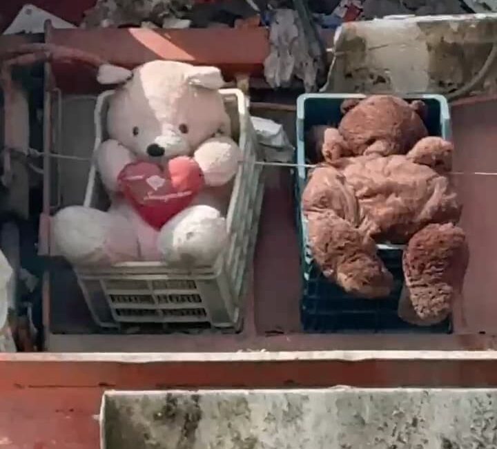 Çöp kamyonuna bakıp hayrete düştüler!