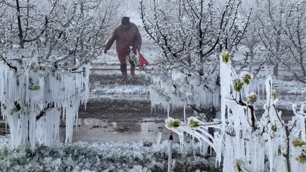 Zirai Don Meclis Araştırma komisyonu toplanıyor!