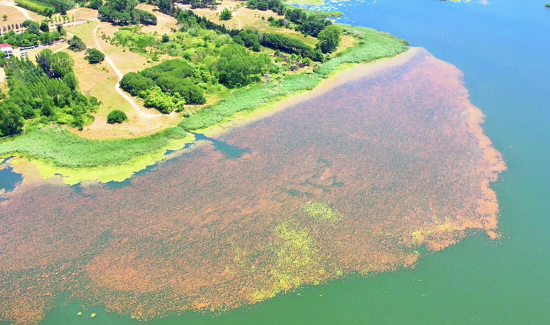 Terkos Gölü manzarasıyla mest etti!