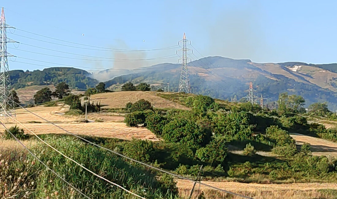 Bursa’da orman yangınları bitmek bilmiyor!