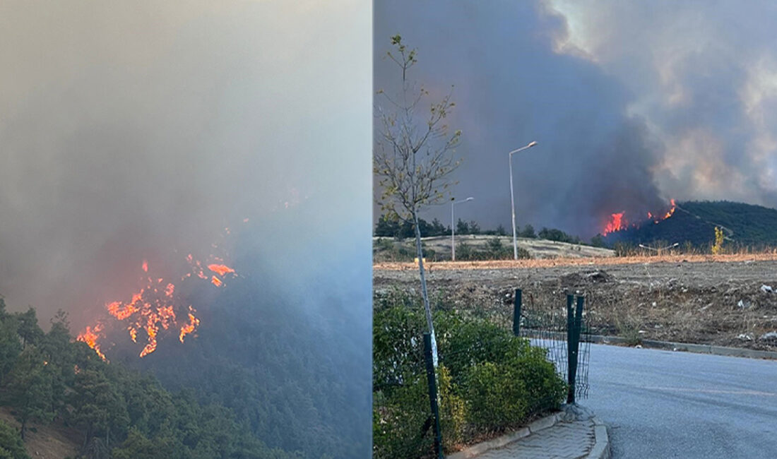 Bursa’nın bağrı yanıyor!