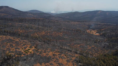 Bursa’da Harmancık’ta yanan yerler görüntülendi!
