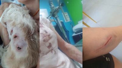 Bursa’da kangal dehşeti yaşandı!