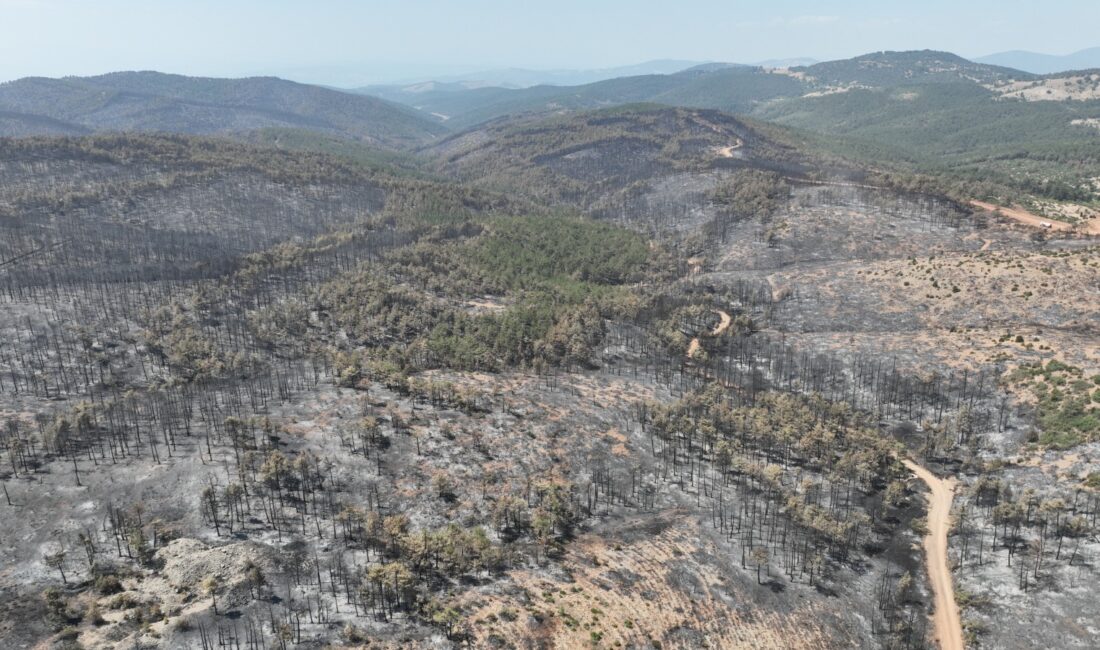 Başkan Bozbey: 10 bin futbol sahası kadar alanı kaybetmenin üzüntüsünü yaşıyoruz