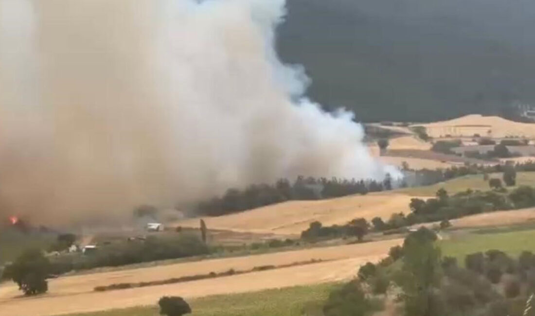 Bursa’da orman yangını çıktı! Havadan karadan söndürme işlemleri başladı