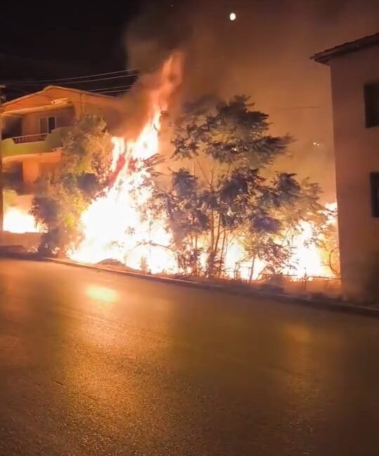 Bursa’da alev alan ağaçlar villaları böyle tehdit etti