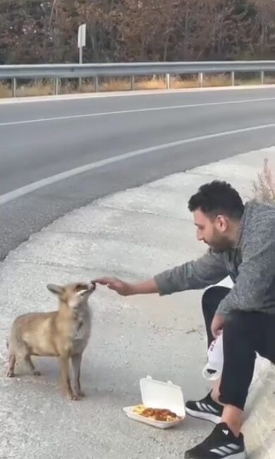 Uludağ yolunda sıra dışı karşılaşma