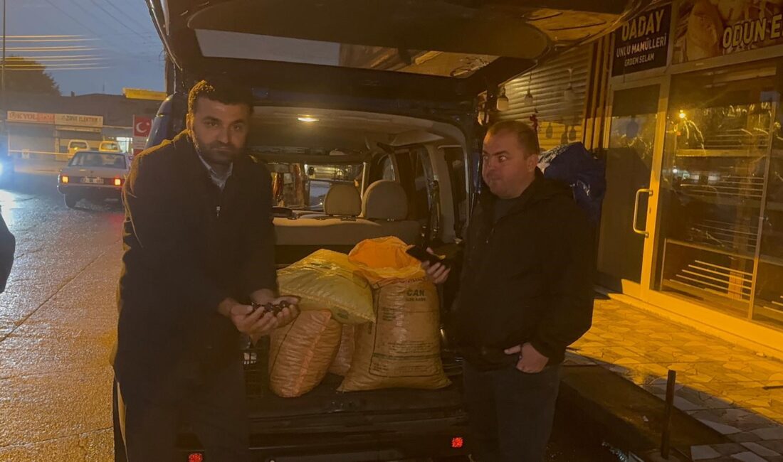 Türkiye’nin kestane borsası Alaplı’da kuruldu