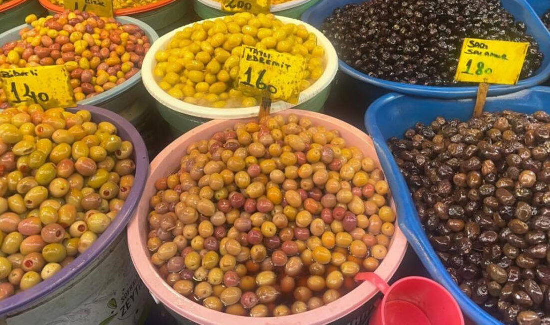 Zeytin Alırken Dikkat Edilmesi Gerekenler
