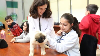 Bursa Büyükşehir patili dostların yanında