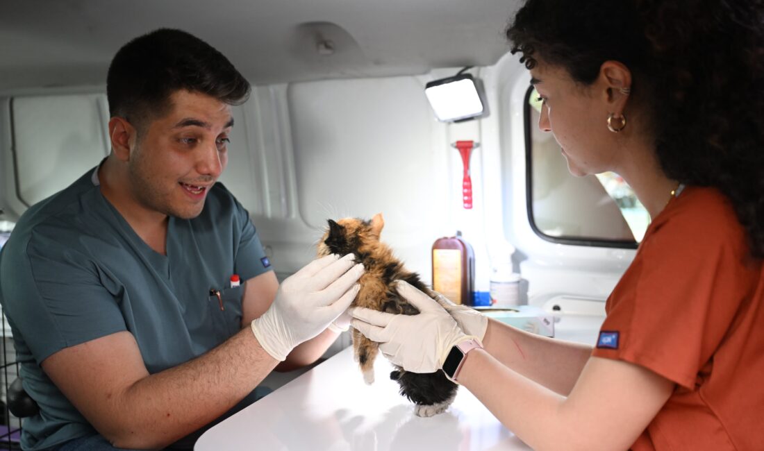 YILDIRIM BELEDİYESİ’NDEN SICAK YUVA