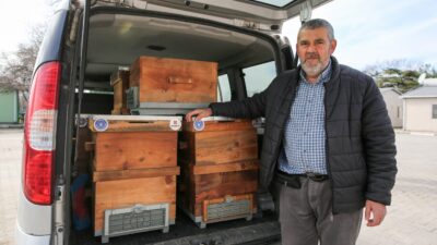 Kırsal üretime kovan desteği Kırsal üretime kovan desteği