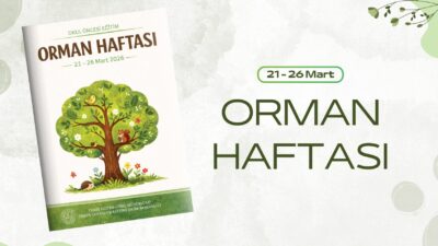 Okul Öncesine Orman Haftası Etkinlik Takvimi