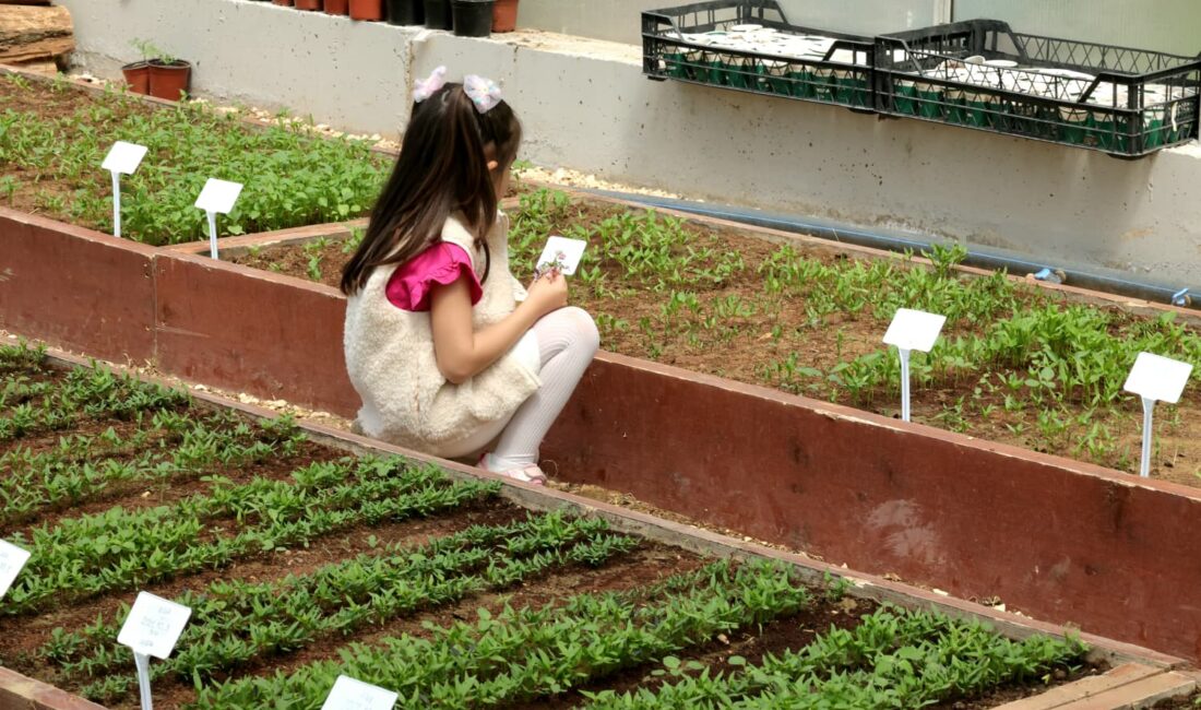 Çocuklar Toprak Sevgisini Osmangazi’de Öğrendi