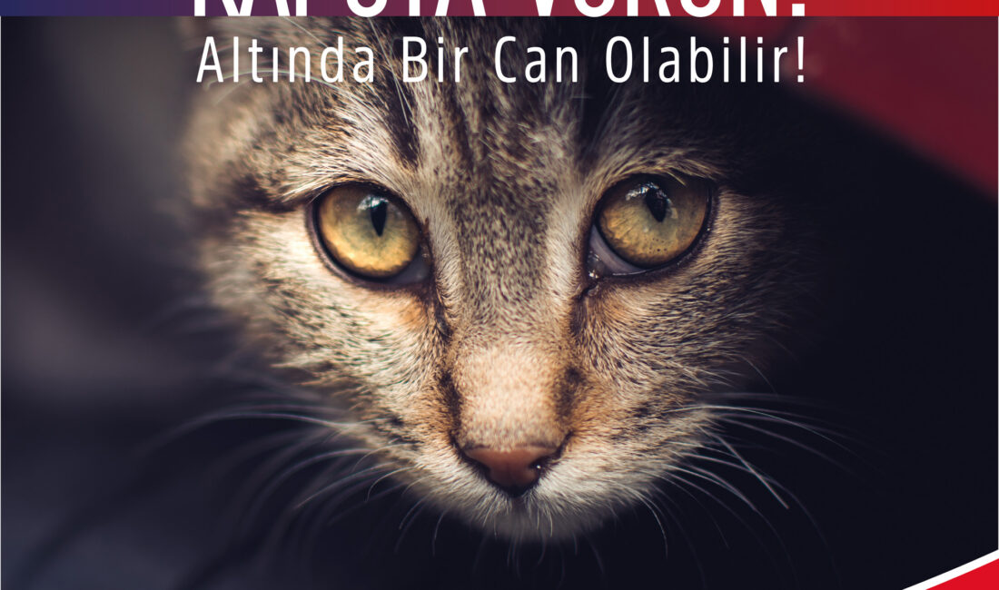 Osmangazi’den ‘Kaputa Vurun’ Çağrısı