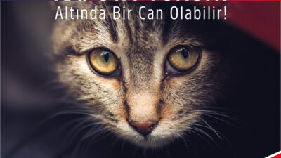 Osmangazi’den ‘Kaputa Vurun’ Çağrısı