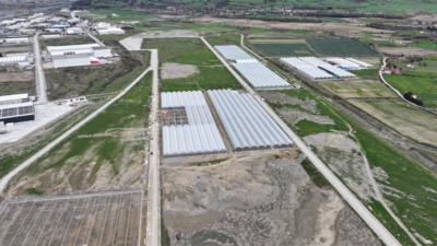 Karadeniz’de Tarım Devrimi: Bafra Sera OTB 4 Milyar Liralık Dev Bir Üretim Üssüne Dönüştü