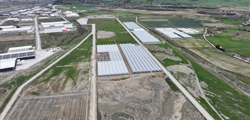 Karadeniz’de Tarım Devrimi: Bafra Sera OTB 4 Milyar Liralık Dev Bir Üretim Üssüne Dönüştü