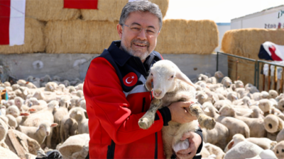 Tarım Bakanlığı Kırsalda Bereket Küçükbaşa Destek Projesine Yıllık 180 Bin Lira Destek Verecek