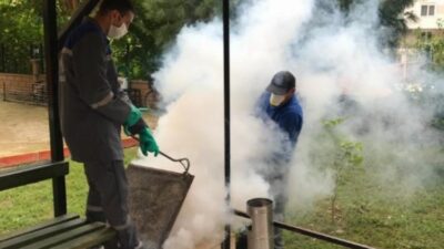 Sineksiz yaz için ilaçlama ordusu iş başında